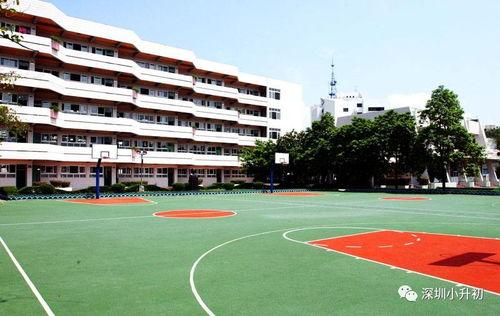 深圳中学最新爆料,揭秘校园新动态与未来规划  第2张